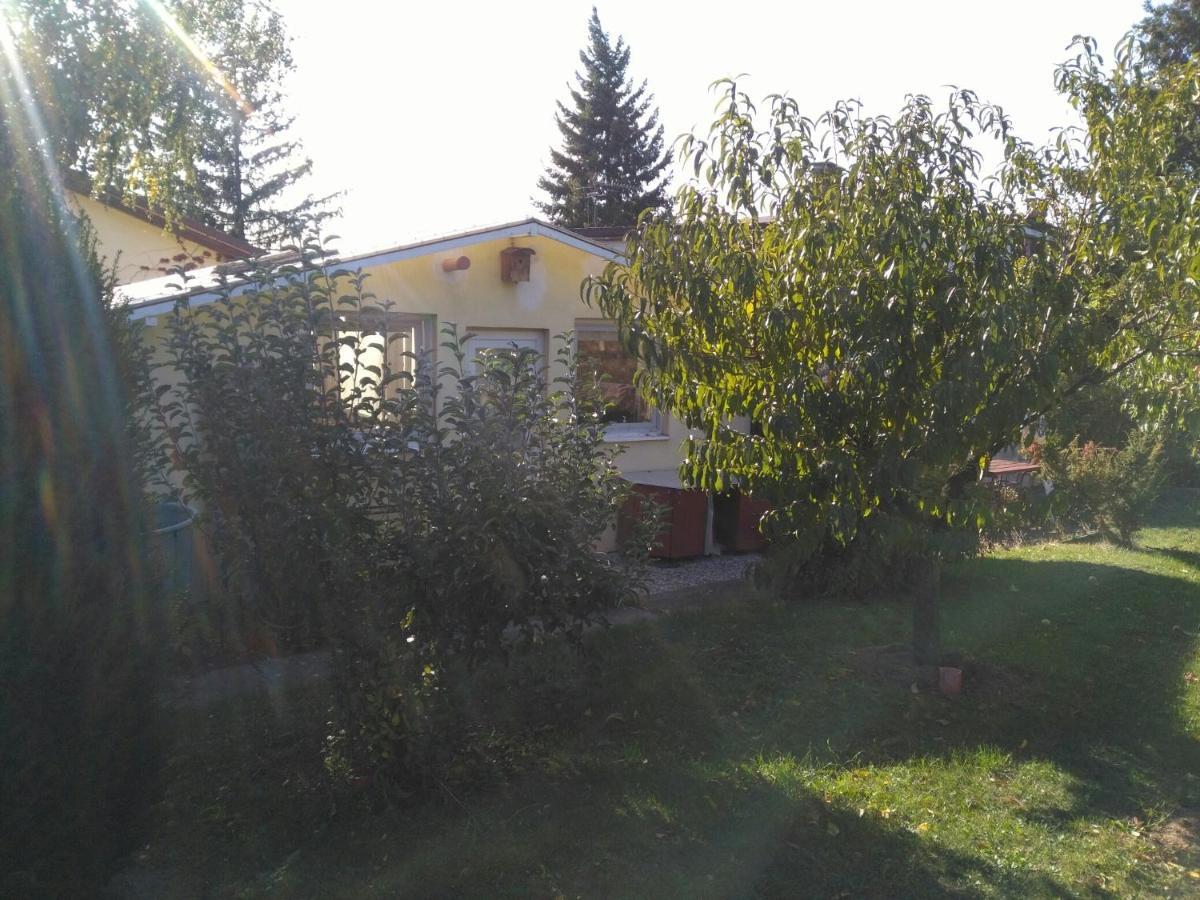 Greenhouse Just 15 Min From The Old Town Братислава Екстер'єр фото